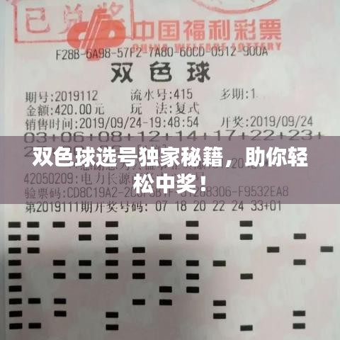 雙色球選號獨家秘籍，助你輕松中獎！