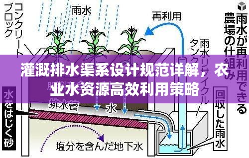 灌溉排水渠系設計規范詳解，農業水資源高效利用策略