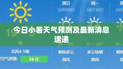 今日小暑天氣預測及最新消息速遞