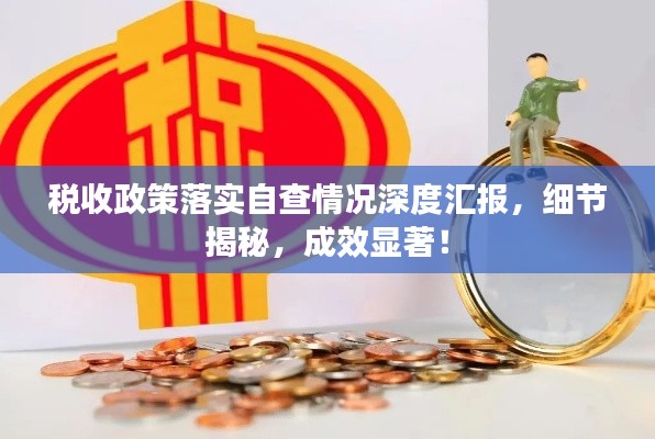 稅收政策落實自查情況深度匯報，細節(jié)揭秘，成效顯著！