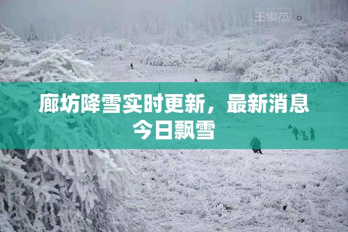 廊坊降雪實時更新，最新消息今日飄雪