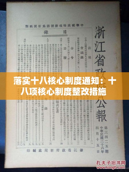 落實十八核心制度通知：十八項核心制度整改措施 