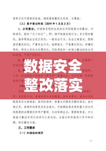 數據安全整改落實：數據安全風險排查和問題整改專項行動報告 