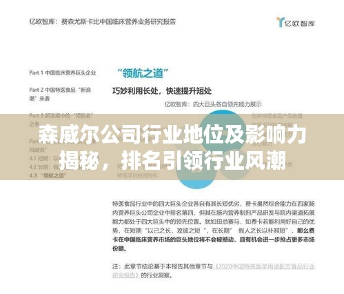 森威爾公司行業地位及影響力揭秘，排名引領行業風潮