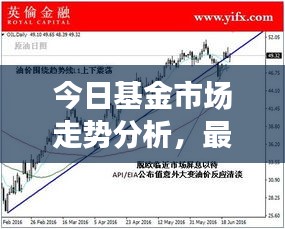 今日基金市場走勢分析，最新報價與投資建議全解析