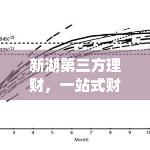 新湖第三方理財(cái)，一站式財(cái)富管理，打造您的理想投資新選擇！