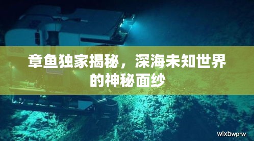 章魚獨家揭秘，深海未知世界的神秘面紗