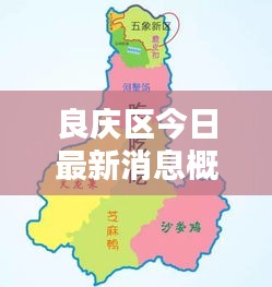 良慶區今日最新消息概覽