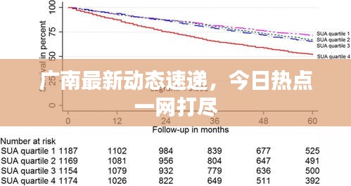 廣南最新動態速遞，今日熱點一網打盡