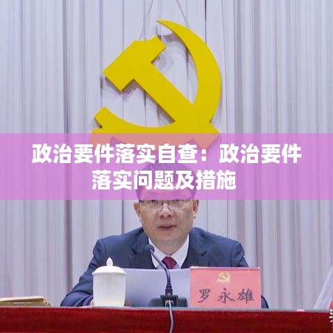 政治要件落實自查：政治要件落實問題及措施 