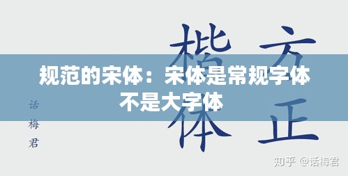 規范的宋體：宋體是常規字體不是大字體 