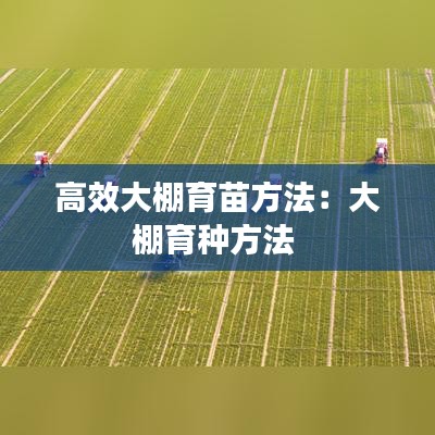 高效大棚育苗方法：大棚育種方法 