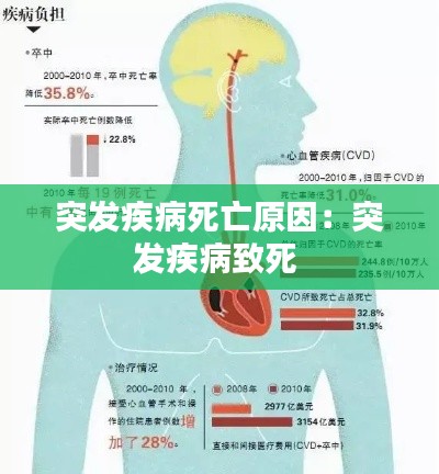 突發疾病死亡原因：突發疾病致死 