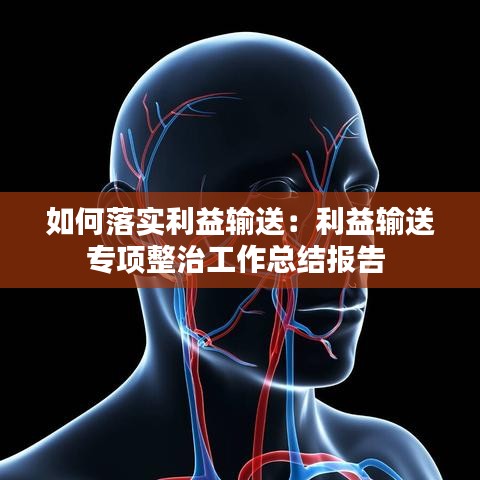 如何落實利益輸送：利益輸送專項整治工作總結報告 