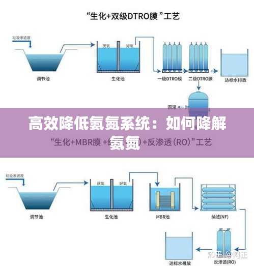 高效降低氨氮系統：如何降解氨氮 