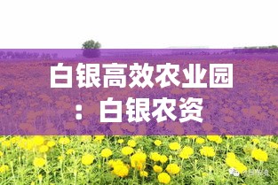 白銀高效農業園：白銀農資 