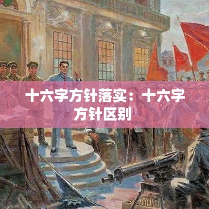 十六字方針落實：十六字方針區別 