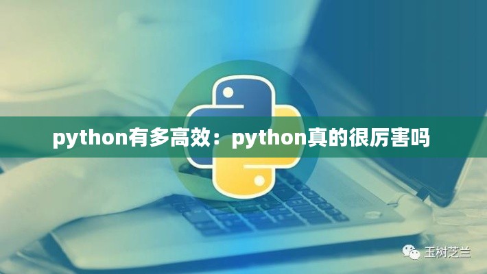 python有多高效：python真的很厲害嗎 