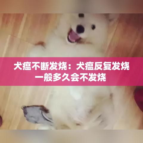 犬瘟不斷發燒：犬瘟反復發燒一般多久會不發燒 