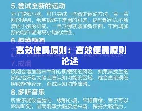 高效使民原則：高效便民原則論述 