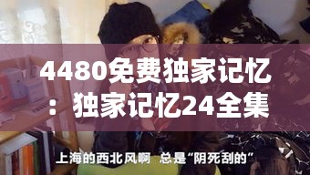 4480免費獨家記憶：獨家記憶24全集在線觀看 