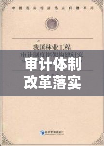 審計體制改革落實舉措：審計 體制機制 