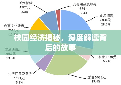 校園經濟揭秘，深度解讀背后的故事