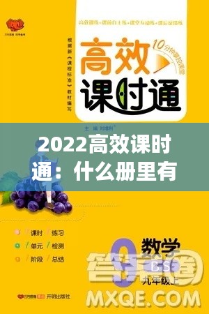 2022高效課時通：什么冊里有課時考 