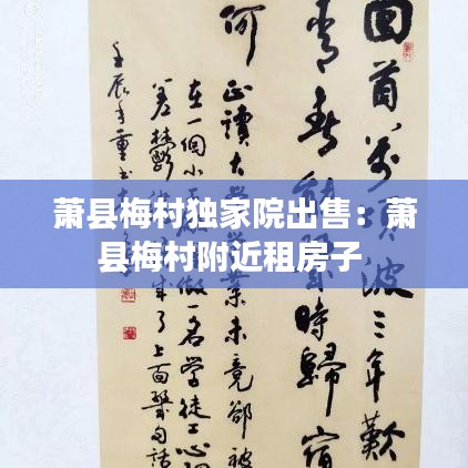 蕭縣梅村獨家院出售：蕭縣梅村附近租房子 