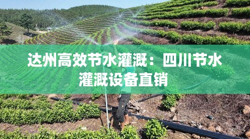 達州高效節水灌溉：四川節水灌溉設備直銷 