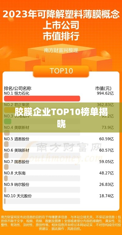 膠膜企業(yè)TOP10榜單揭曉