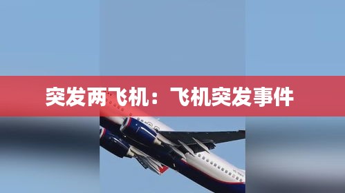 突發兩飛機：飛機突發事件 