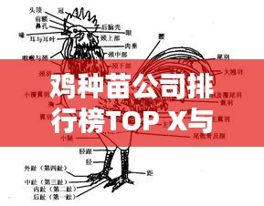 雞種苗公司排行榜TOP X與行業深度解析