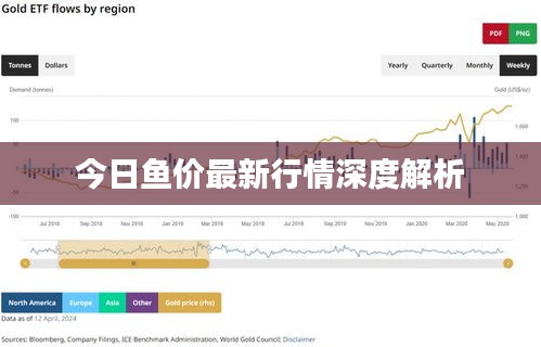 今日魚價(jià)最新行情深度解析