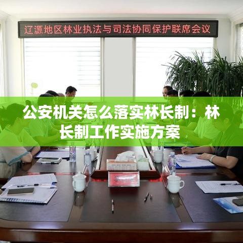 公安機關怎么落實林長制：林長制工作實施方案 