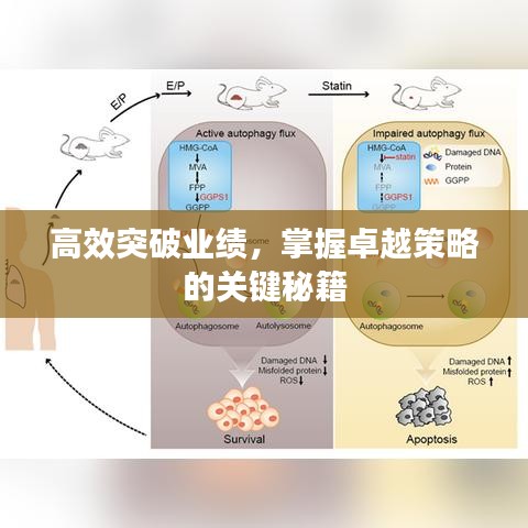 高效突破業績，掌握卓越策略的關鍵秘籍