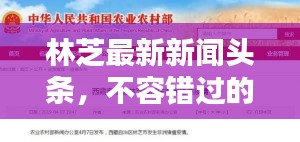 林芝最新新聞?lì)^條，不容錯(cuò)過的當(dāng)?shù)刭Y訊速遞