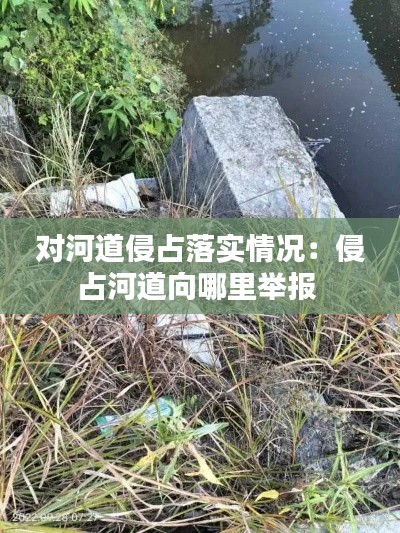 對河道侵占落實情況：侵占河道向哪里舉報 