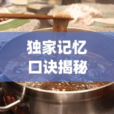 獨家記憶口訣揭秘，高效記憶的秘密武器