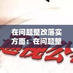 在問題整改落實方面：在問題整改方面存在的不足 