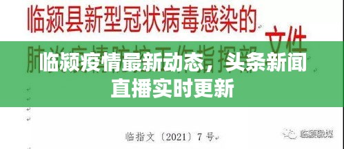 臨潁疫情最新動態(tài)，頭條新聞直播實時更新