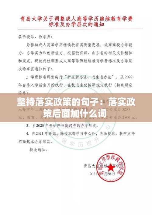 堅持落實政策的句子：落實政策后面加什么詞 