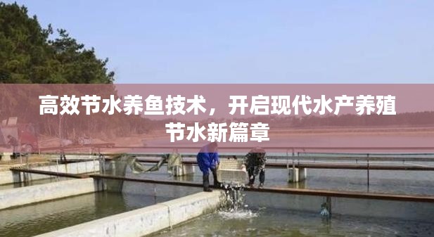 高效節水養魚技術，開啟現代水產養殖節水新篇章