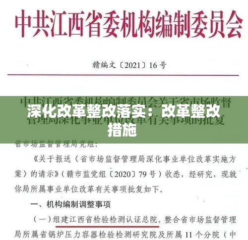 深化改革整改落實：改革整改措施 