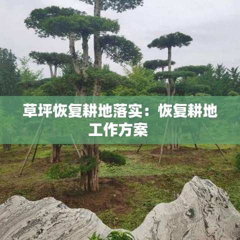 草坪恢復耕地落實：恢復耕地工作方案 