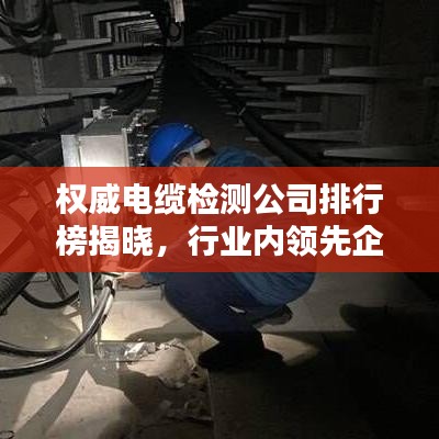 權威電纜檢測公司排行榜揭曉，行業內領先企業榜單出爐！