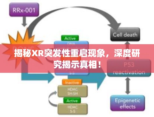 揭秘XR突發性重啟現象，深度研究揭示真相！