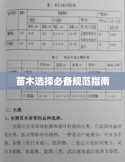 苗木選擇必備規范指南