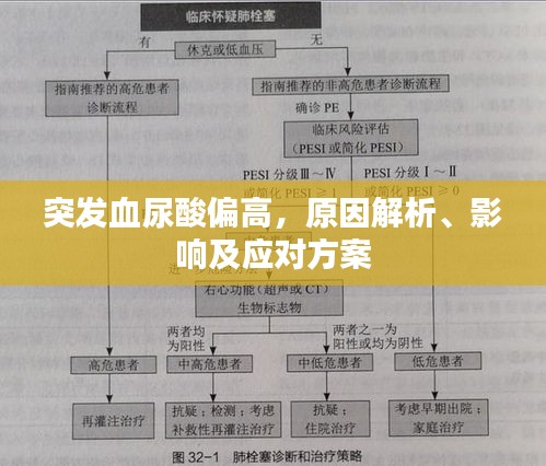 突發(fā)血尿酸偏高，原因解析、影響及應(yīng)對方案