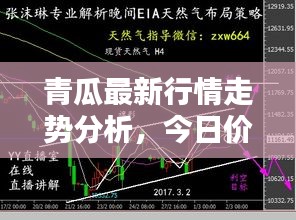 青瓜最新行情走勢分析，今日價格揭秘